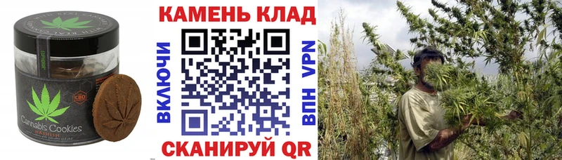 Canna-Cookies конопля Ахтырский