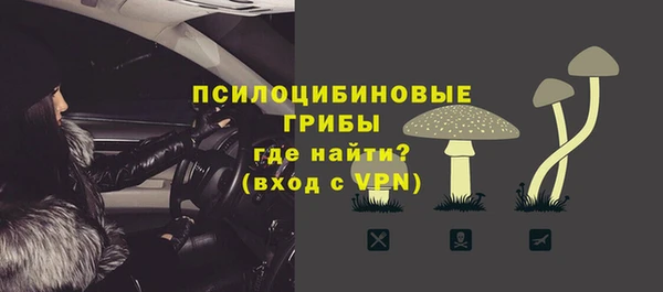 молекула духа Алзамай