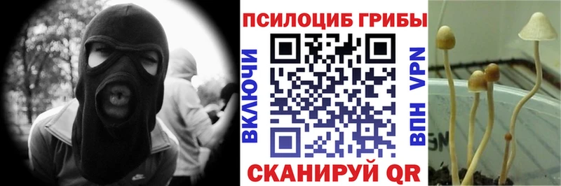 цены   нарко площадка как зайти  Псилоцибиновые грибы Magic Shrooms  Ахтырский 