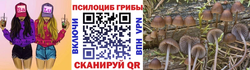 Галлюциногенные грибы мицелий Ахтырский